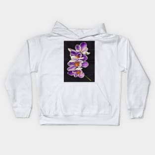 Stripey Crocuses Kids Hoodie